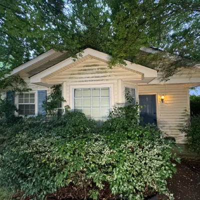 Overgrown House
